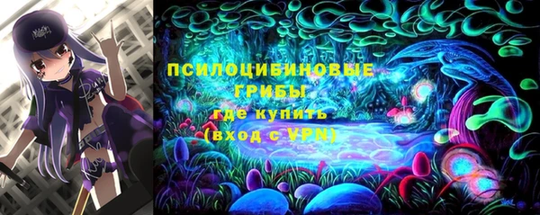 PSILOCYBIN Дмитриев