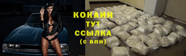 2c-b Дмитров