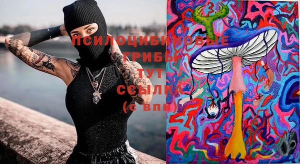 2c-b Дмитров