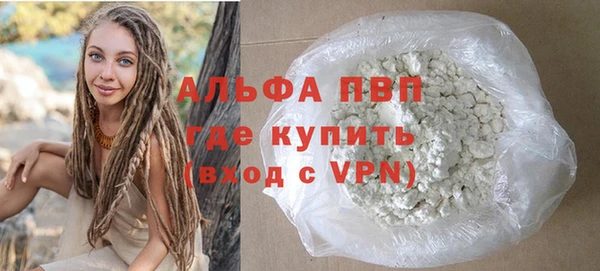 PSILOCYBIN Дмитриев