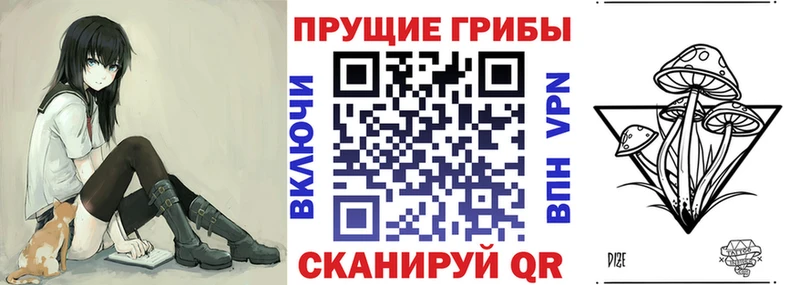 Псилоцибиновые грибы Psilocybine cubensis  Купить  Ессентуки 